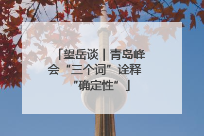 望岳谈｜青岛峰会“三个词”诠释“确定性”