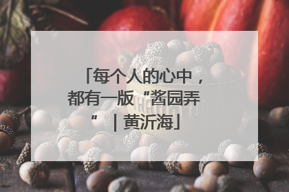 每个人的心中，都有一版“酱园弄”｜黄沂海