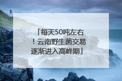 每天50吨左右！云南野生菌交易逐渐进入高峰期