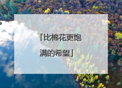 比棉花更饱满的希望