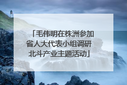 毛伟明在株洲参加省人大代表小组调研北斗产业主题活动
