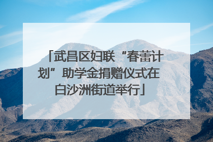 武昌区妇联“春蕾计划”助学金捐赠仪式在白沙洲街道举行
