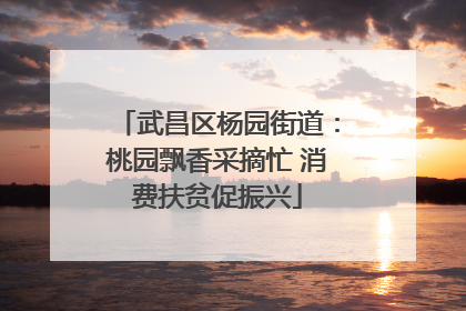 武昌区杨园街道：桃园飘香采摘忙 消费扶贫促振兴