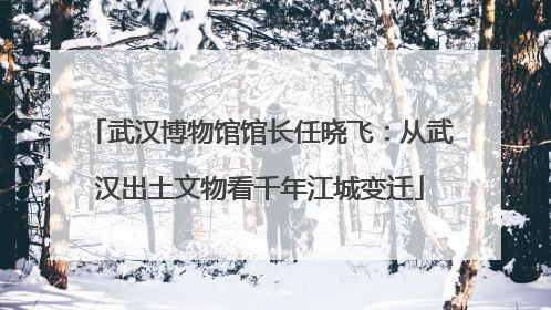 武汉博物馆馆长任晓飞：从武汉出土文物看千年江城变迁