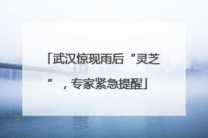 武汉惊现雨后“灵芝”，专家紧急提醒