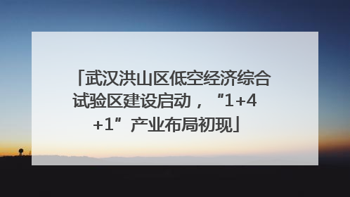 武汉洪山区低空经济综合试验区建设启动，“1+4+1”产业布局初现