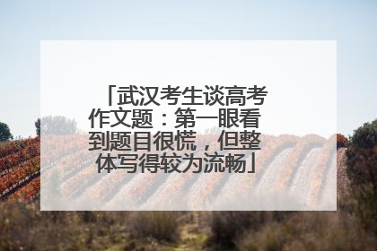 武汉考生谈高考作文题：第一眼看到题目很慌，但整体写得较为流畅