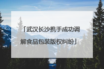 武汉长沙携手成功调解食品包装版权纠纷