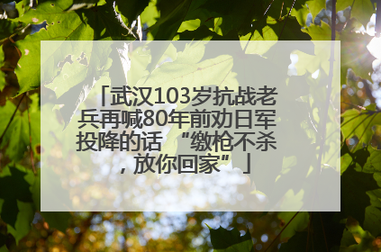 武汉103岁抗战老兵再喊80年前劝日军投降的话 “缴枪不杀，放你回家”