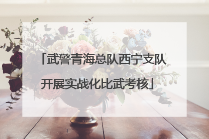 武警青海总队西宁支队开展实战化比武考核
