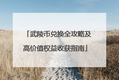 武陵币兑换全攻略及高价值权益收获指南
