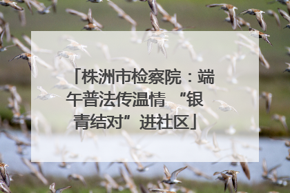 株洲市检察院：端午普法传温情 “银青结对”进社区