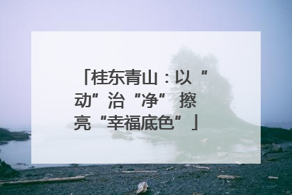 桂东青山：以“动”治“净” 擦亮“幸福底色”