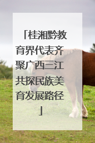 桂湘黔教育界代表齐聚广西三江共探民族美育发展路径