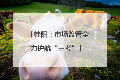 桂阳：市场监管全力护航“三考”