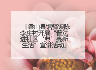 梁山县馆驿镇陈李庄村开展“普法进社区‘典’亮新生活”宣讲活动