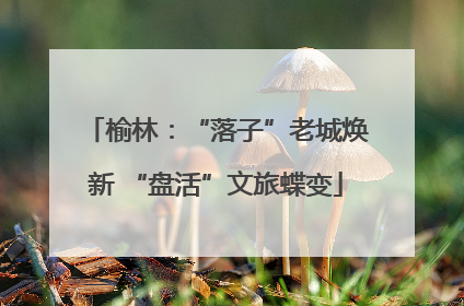 榆林：“落子”老城焕新 “盘活”文旅蝶变