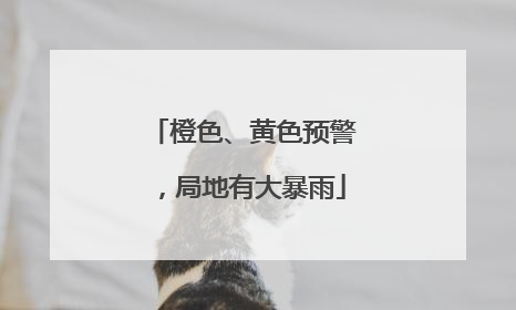 橙色、黄色预警，局地有大暴雨