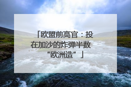 欧盟前高官：投在加沙的炸弹半数“欧洲造”