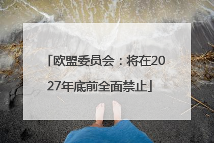 欧盟委员会：将在2027年底前全面禁止
