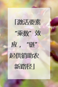 激活要素“乘数”效应，“链”起供销助农新路径