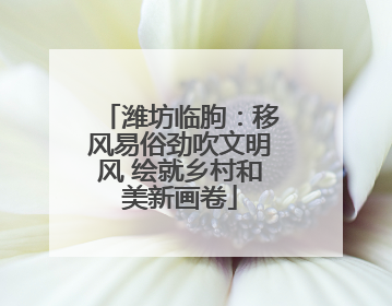 潍坊临朐：移风易俗劲吹文明风 绘就乡村和美新画卷