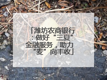 潍坊农商银行：做好“三夏”金融服务，助力“麦”向丰收