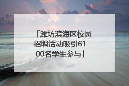 潍坊滨海区校园招聘活动吸引6100名学生参与