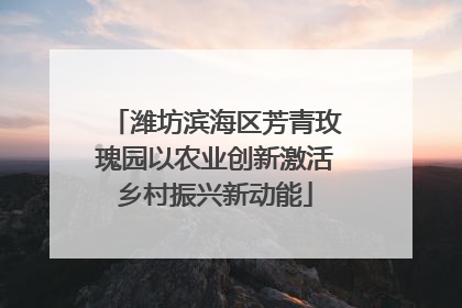 潍坊滨海区芳青玫瑰园以农业创新激活乡村振兴新动能