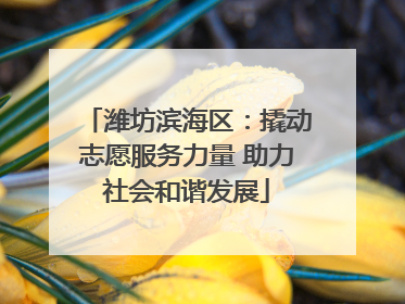 潍坊滨海区：撬动志愿服务力量 助力社会和谐发展