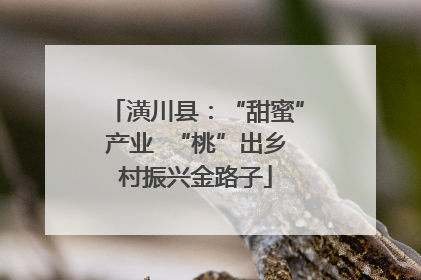 潢川县：“甜蜜”产业  “桃”出乡村振兴金路子