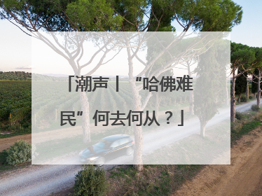 潮声丨“哈佛难民”何去何从？