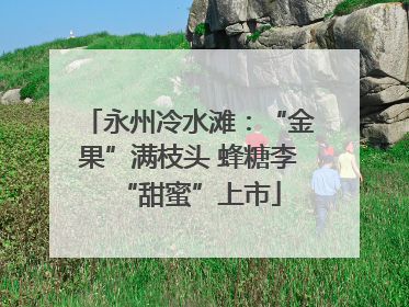 永州冷水滩：“金果”满枝头 蜂糖李“甜蜜”上市