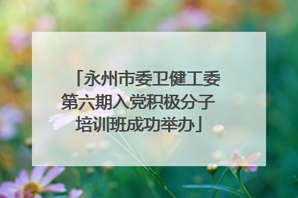 永州市委卫健工委第六期入党积极分子培训班成功举办