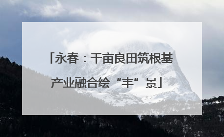 永春：千亩良田筑根基 产业融合绘“丰”景