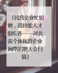 民营企业忙招聘，高技能人才很吃香——河北省个体私营企业网络招聘大会扫描