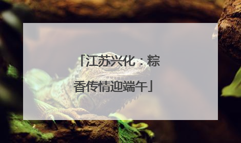 江苏兴化：粽香传情迎端午