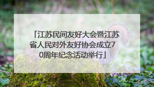 江苏民间友好大会暨江苏省人民对外友好协会成立70周年纪念活动举行