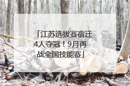 江苏选拔赛宿迁4人夺冠！9月再战全国技能赛