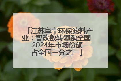 江苏阜宁环保滤料产业：智改数转领跑全国 2024年市场份额占全国三分之一