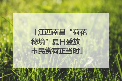 江西南昌“荷花秘境”夏日盛放 市民赏荷正当时
