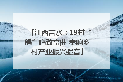 江西吉水：19村“鸽”鸣致富曲 奏响乡村产业振兴强音
