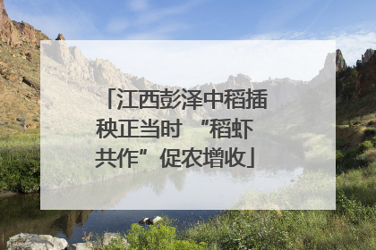 江西彭泽中稻插秧正当时 “稻虾共作”促农增收