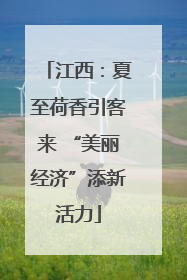 江西：夏至荷香引客来 “美丽经济”添新活力