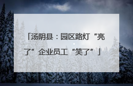 汤阴县：园区路灯“亮了”企业员工“笑了”