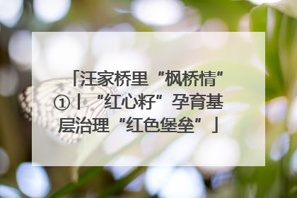 汪家桥里“枫桥情”①丨“红心籽”孕育基层治理“红色堡垒”