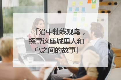 沿中轴线观鸟，探寻这座城里人和鸟之间的故事