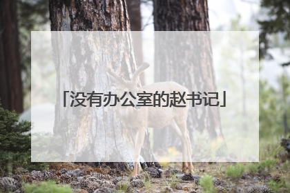 没有办公室的赵书记