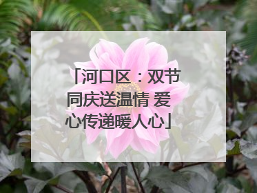河口区：双节同庆送温情 爱心传递暖人心