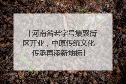 河南省老字号集聚街区开业，中原传统文化传承再添新地标